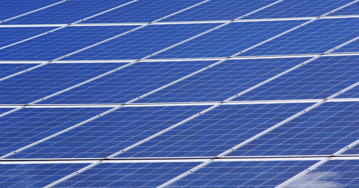 How to Navigate Feed-in Tariffs for Solar Energy